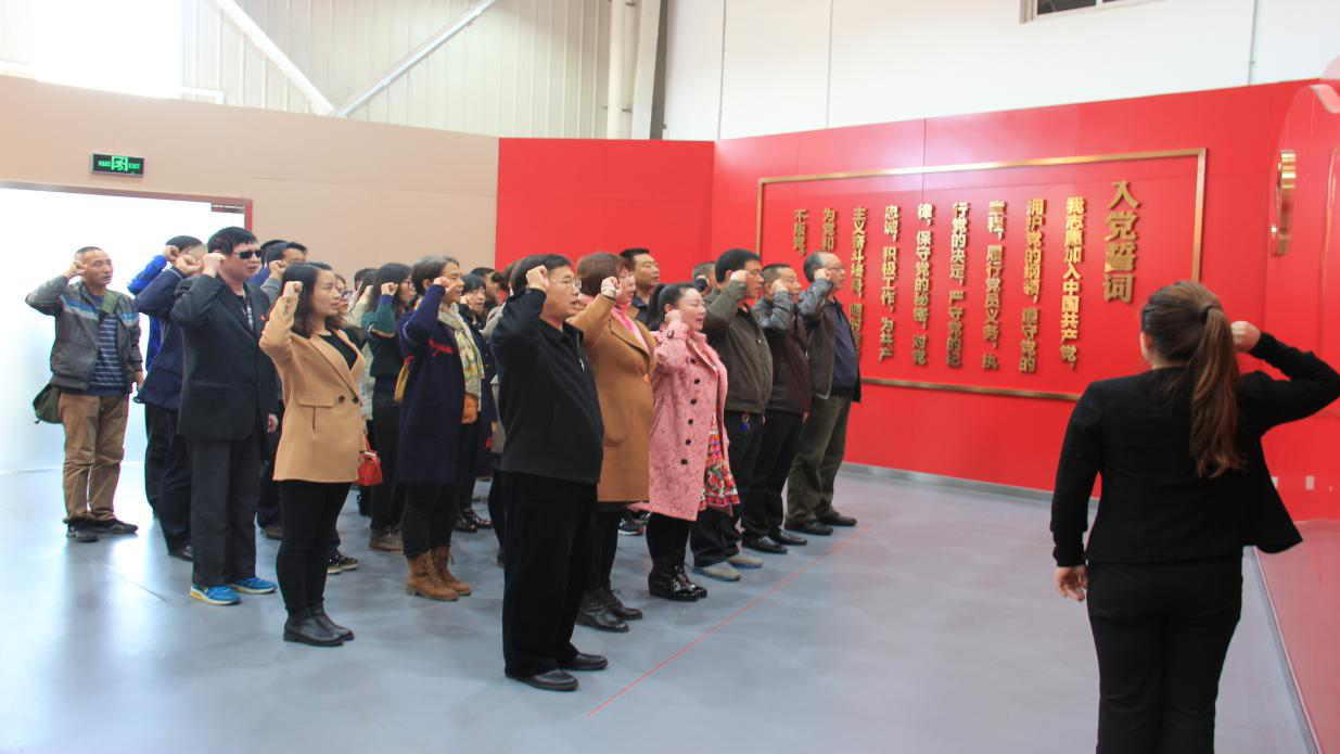 ����ϵͳ�ٰ쵳֧���淶��ʵѵ�����